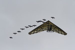 Les mobil-homes à louer près du Puy du Fou, pour un séjour pratique et confortable
